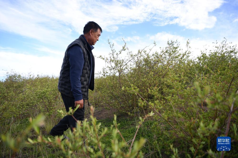 捕鱼游戏赚钱换人民币是真的